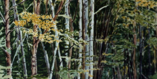 Carriage Trail - Ministers Island, NB - Joseph Swanek Artist