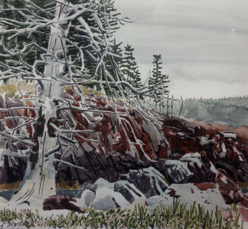 Dead Tree - Joseph Swanek Artist