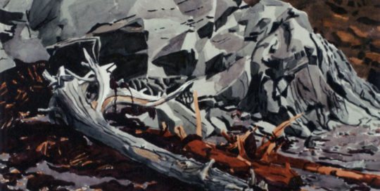 Driftwood - Joseph Swanek Artist
