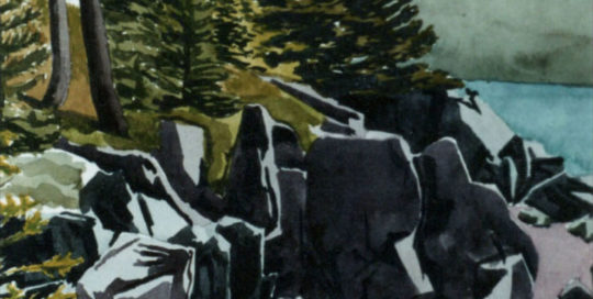 Evergreens and Rocks - Joseph Swanek Artist