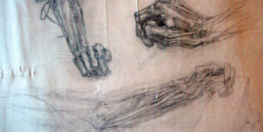 Anatomical Arm and Hand Study - Joseph Swanek Artist