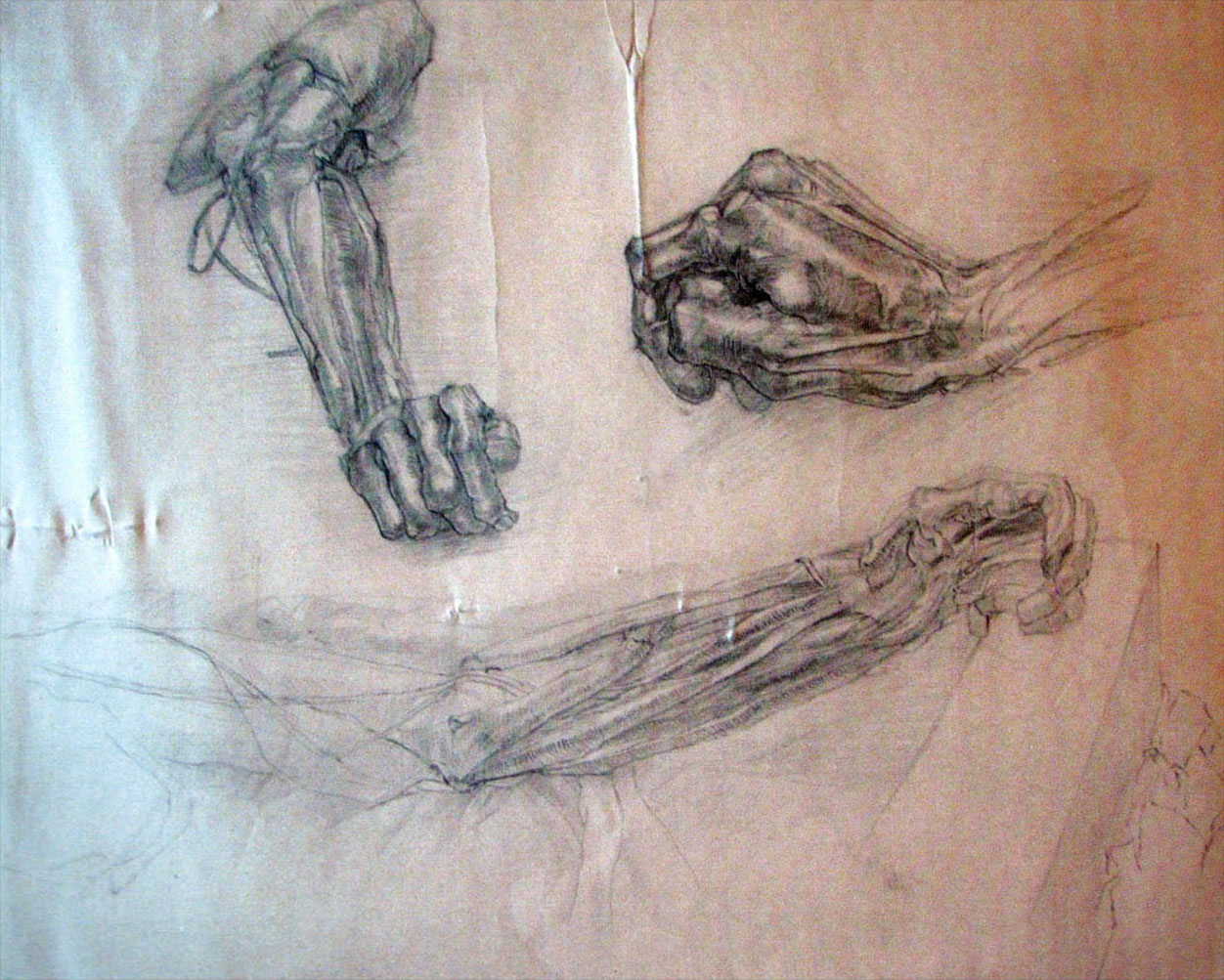 Anatomical Arm and Hand Study - Joseph Swanek Artist
